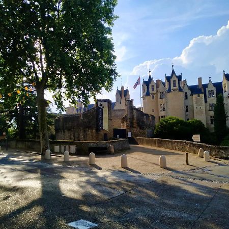Le Gite Du Tresor Apartment Montreuil-Bellay Ngoại thất bức ảnh