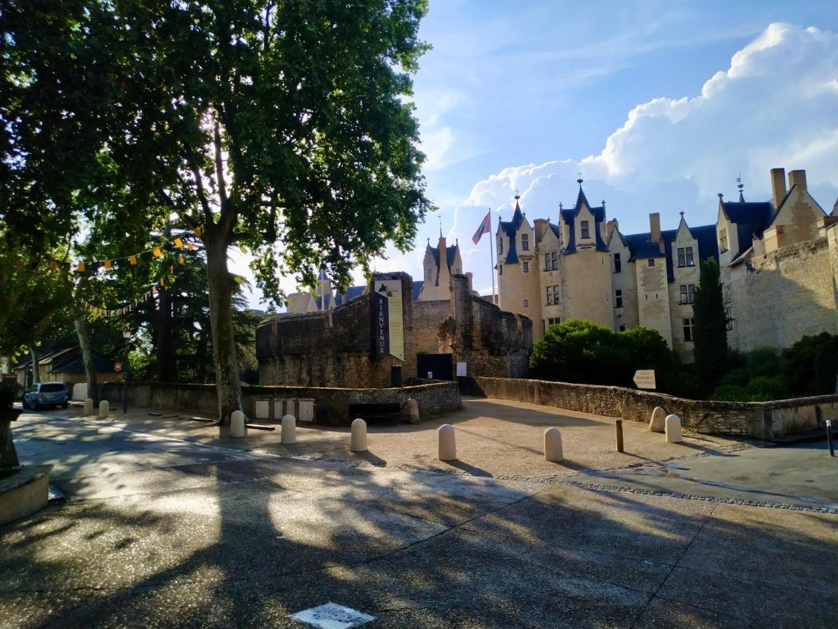 Le Gite Du Tresor Apartment Montreuil-Bellay Ngoại thất bức ảnh